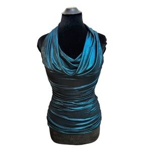 2012 Express Metallic Top